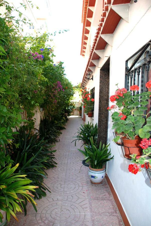 Apartamentos Inter Gandia Playa エクステリア 写真